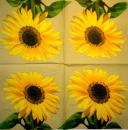 008 Sunflowers - 3 ply (blue)